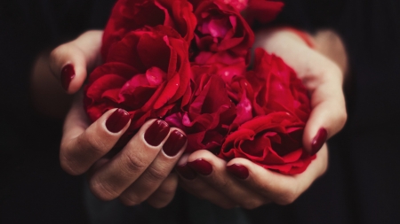 :-) - hand, red, rose, kristina paukshtite, manicure, flower