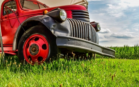 Ready for work - cars, trucks, red, green, grass, rural, farming