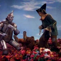 The Poppy Field Wizard Of Oz Movie