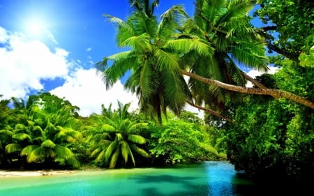 Tropical Landscape - nature, sky, palm trees, reflection, water, green