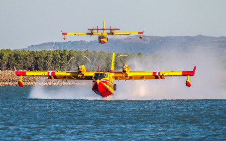 Seaplanes - lake, planes, forest, seaplanes