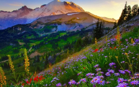 Summer Mountains - sky, blossoms, landscape, sunras, flowers, colors