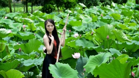 amongst the lotus - lotus, girl, asian, flower