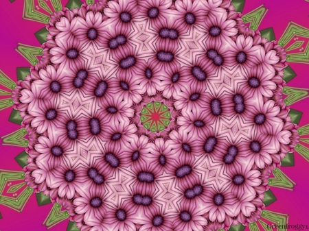 DAISY KALEIDOSCOPE - image, art, abstract, kaleidoscope