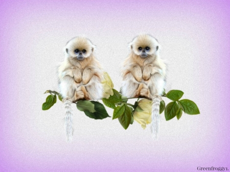 MONKIES ON A BRANCH - IMAGE, MONKIES, TWO, ABSTRACT