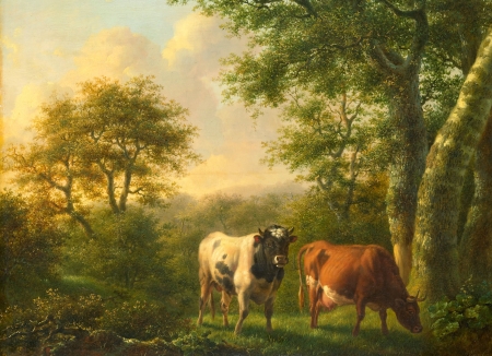 Cows