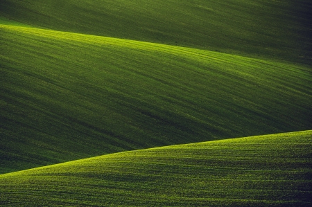 :-) - skin, hill, vara, summer, field, luminos, green, grass, texture