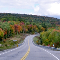 Autumn Along A Highway , Barrys Bay Canada