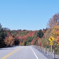 Signs Along The Highway