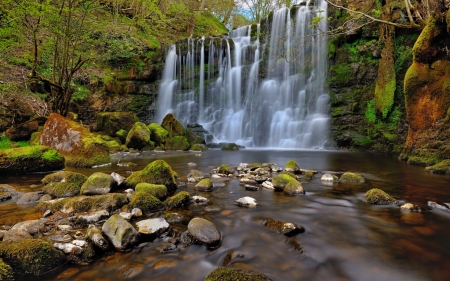 Forest waterfall - trees, waterfall, beautiful, serenity, stream, forest, stones