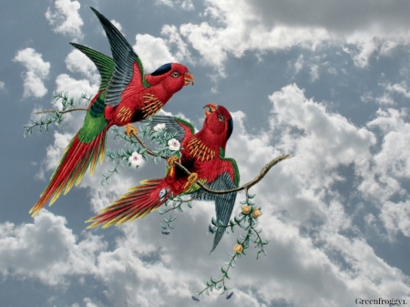 PARROTS AT PLAY - ART, IMAGE, PARROTS, ABSTRACT