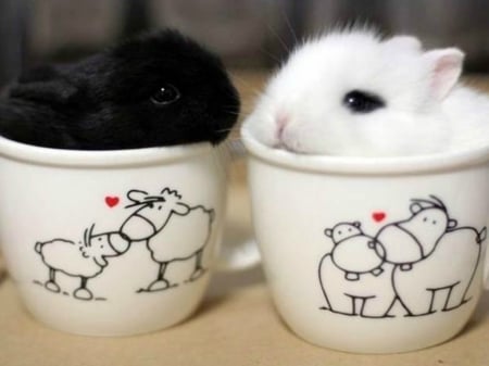 LITTLE BUNNIES - CUTE, IMAGE, LITTLE, BUNNIES