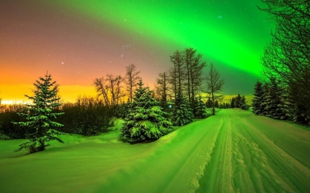 Northern lights - Winter, Night sky, Snowy, Road