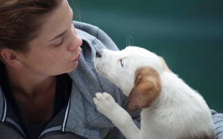 Sweet Doggy - animal, people, love, girl, dog