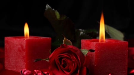 red harmony - candle, rose, flame, flower