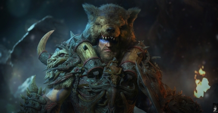 Barbarian - skin, bear, man, barbarian, fantasy