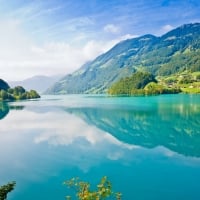 Summer Lake Reflection