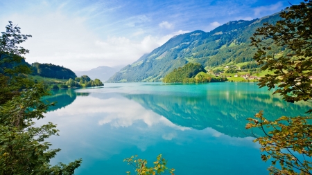 Summer Lake Reflection - trees, branches, summer, coast, reflection, azure, nature, lights, lake, mountains, sky