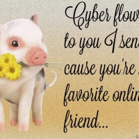 ONLINE FRIEND