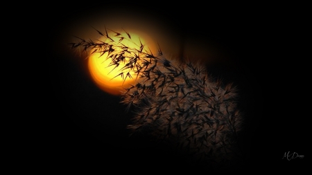 Good Evening - Firefox theme, sunset, romantic, evening, collage, grass, night, full moon