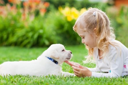 Little Girl - Puppy, Smile, Girl, Dog