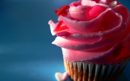 Pink rose - close up, cake, cream, dessert