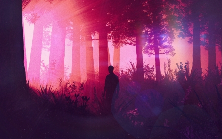 Sunset through the trees - mike winkelmann, silhouette, forest, pink, tree, synthpop, fantasy, sunset, luminos