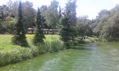 tchou tchou - train, lake, paris, disneyland