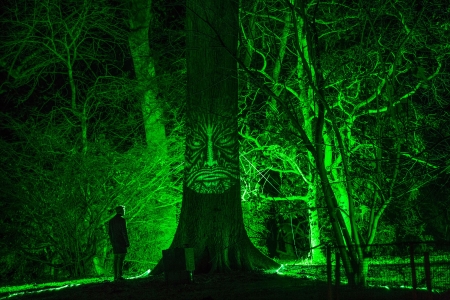 Enchanted Christmas - England, Tetbury, Light show, Britain, Gloucestershire, Enchanted Christmas, Westonbirt Arboretum