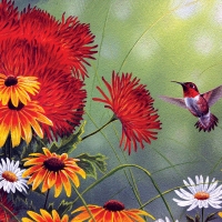 Hummingbird and Red Flowers