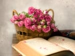 A Basket Full of Pink Roses