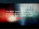 Bible