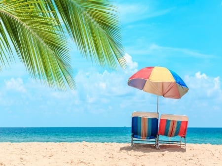 Summer Beach - Sunbeds, Umbrella, Vacation, Palm trees, Sky, Sea