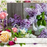 BEAUTIFUL LILACS