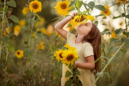 Little girl - sunflower, yellow, summer, girl, copil, vara, child