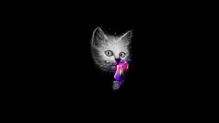 :-) - ice cream, black, fantasy, kitten, pink, minimalistic, cat