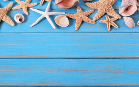 :-) - summer, card, shell, vara, wood, blue