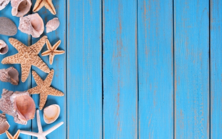 :-) - shell, starfish, summer, blue, wood, card, vara