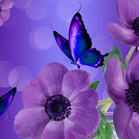 Shades of Purple