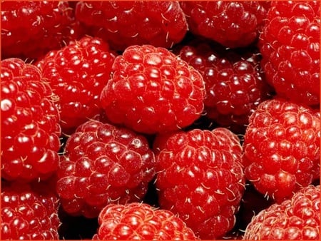 Berries - druffix, red, mmh, food, raspberries, berries