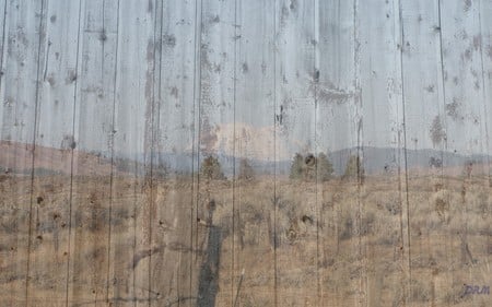 Umtanum on our Barn - widescreen, fields, barn, boards, country, farm, fence, washington