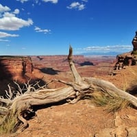 Canyonlands