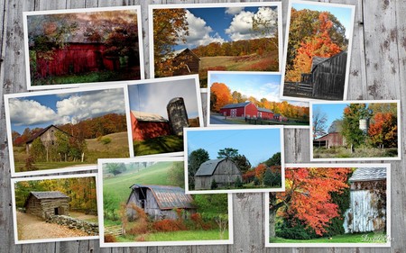 Old Barns in Autumn - widescreen, fall, autumn, old, collage, country, farm, barns