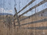 Fence on Barn 