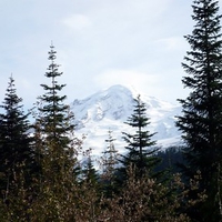 Mount Baker on a fall day