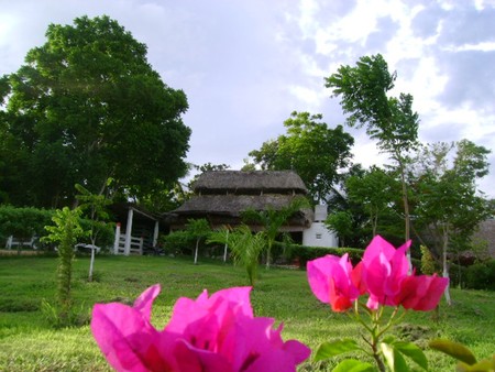 San Pedro, vive la aventura - mexico, san pedro, flores, campeche, tixmucuy, paisaje, reyescarrion, edzna