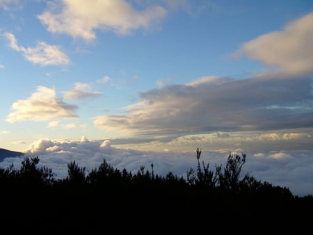 above in tenerife