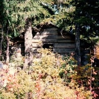 Old Cabin