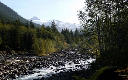 Glacier Creek and Mount Baker - widescreen, fall, mount baker, trees, autumn, creek, washington, mountain