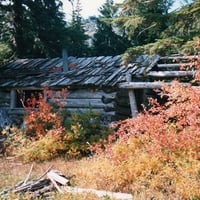 Old Cabin at Daily Prairie